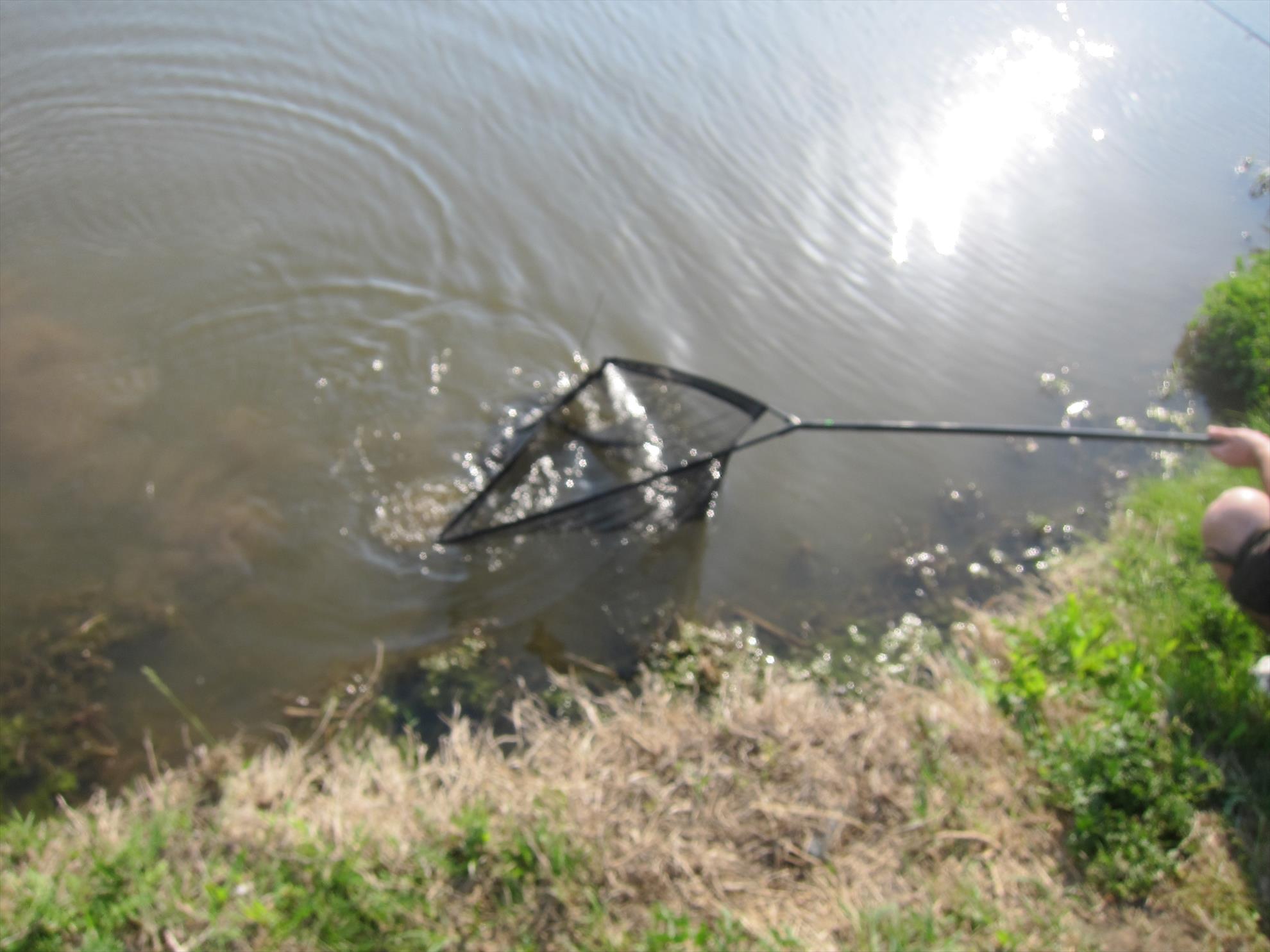 Solacolu - mai 2012 - img2329.JPG